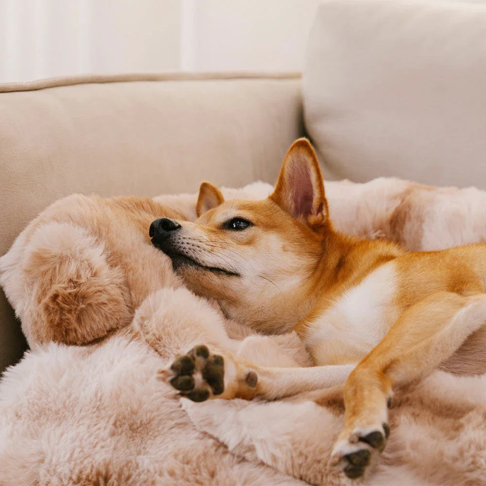 Fluffy Plush Dog Bed Soft Plush Dog Pad, Sofa Couch Pet Furniture Protector Cover, Washable, Blanket Cushion Dog Kennel